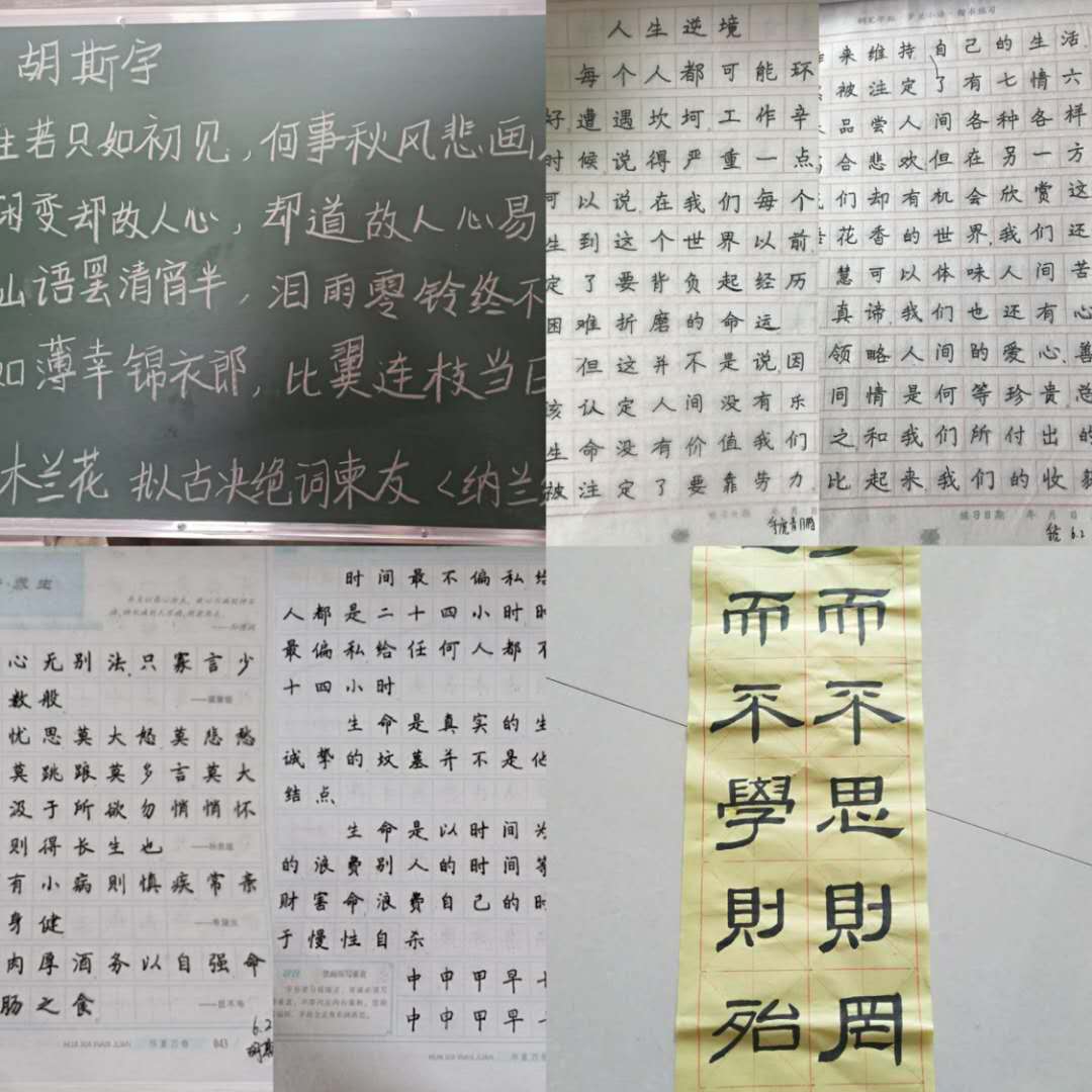 B体育